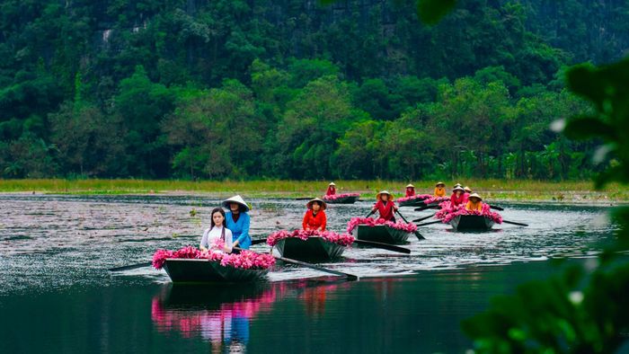 Mùa hoa súng Tam Cốc mang đến những nét văn hóa đặc trưng của vùng quê Bắc Bộ. Ảnh: KDL Tam Cốc.
