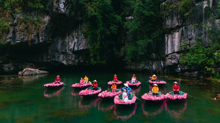 Mùa hoa súng tại Tam Cốc thu hút đông đảo du khách đến chiêm ngưỡng và chụp ảnh. Ảnh: KDL Tam Cốc.