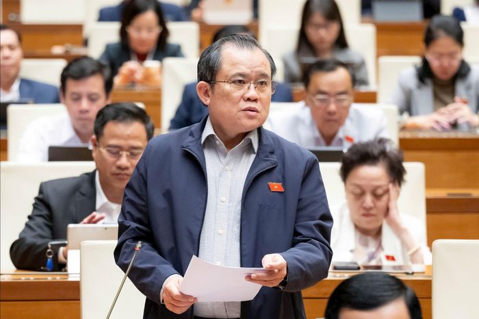 Đại biểu Nguyễn Tâm Hùng (Đoàn ĐBQH Thành phố Hồ Chí Minh) phát biểu.