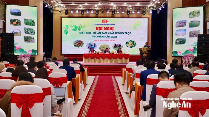 Toàn cảnh hội nghị triển khai đề án sản xuất trồng trọt vụ Xuân 2026. Ảnh: Phú Hương