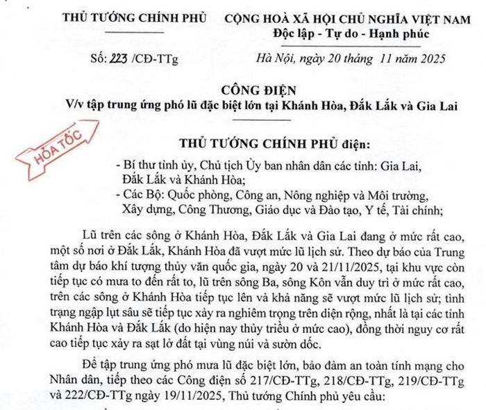 Công điện của Thủ tướng Chính phủ.