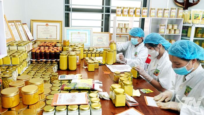 Thành viên HTX Nông nghiệp Tân Thành (phường Bắc Kạn) đóng gói sản phẩm tinh bột nghệ. Ảnh: T.L