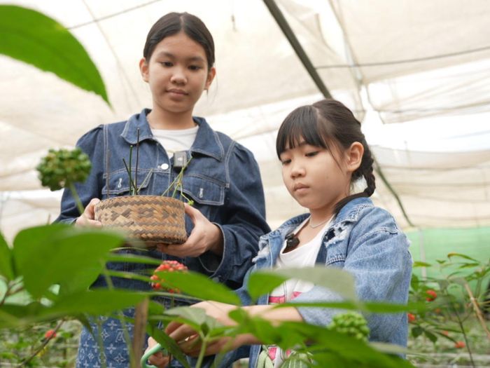 Cha con vạn dặm: Ông bố đưa con gái lên núi trồng sâm và những bài học giá trị - Ảnh 2.