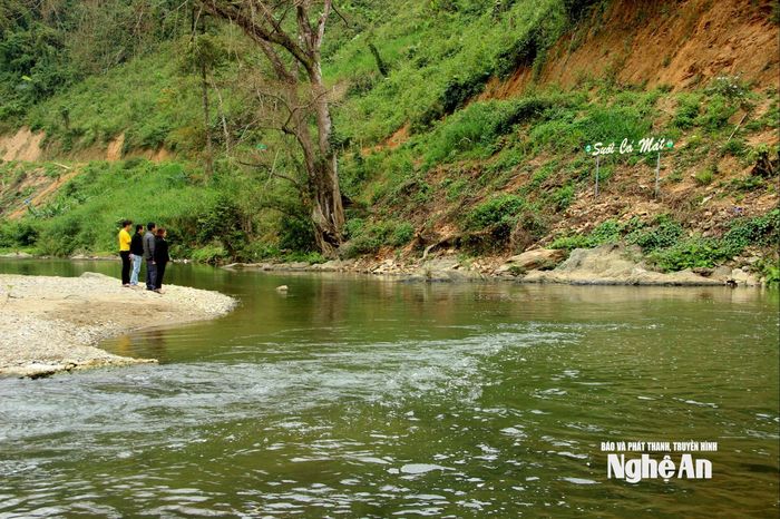 Suối cá mát tại Khe Cặt, xã Tam Thái. Ảnh: Quang An