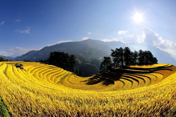 Ruộng bậc thang ở các xã Mù Cang Chải, Púng Luông (tỉnh Lào Cai). Ảnh: Tuấn Anh/TTXVN