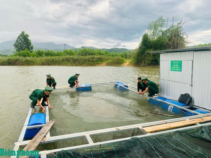 Cán bộ Đồn Biên phòng Quảng Nhâm tới kiểm tra mô hình nuôi cá lồng bè trao tặng cho hộ dân trên địa bàn. Ảnh: Võ Tiến