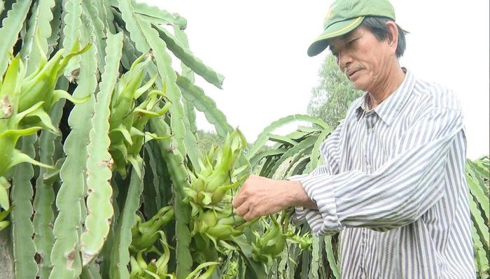 Ông Đặng Ngọc Anh, người dân thôn Nà Bồi, xã Hàm Thuận