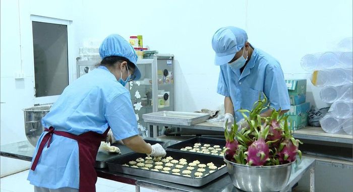 Những sản phẩm bánh làm từ trái thanh long ở HTX Hòa Lệ