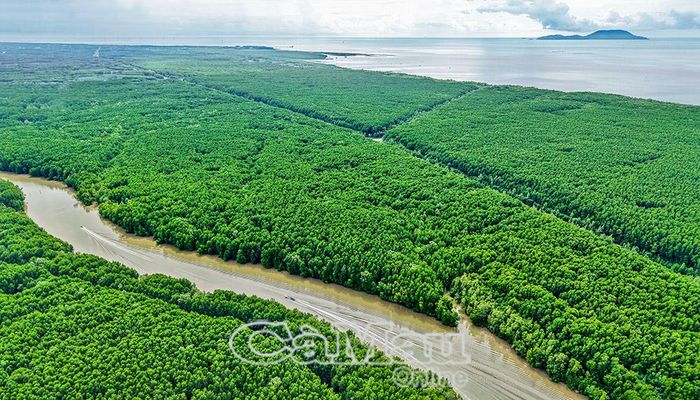 Giữa những cánh rừng xanh ngút ngàn, các dự án trọng điểm quốc gia đang được triển khai; khi hoàn thành sẽ kết nối giao thông từ đất liền ra đảo Hòn Khoai.