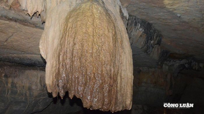 Các cụm nhũ đá tại hang Bụt có hình dạng đa dạng.