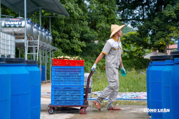 Áp dụng mô hình kinh tế tuần hoàn trong quá trình sản xuất góp phần giảm thiểu chất thải, bảo vệ môi trường và nâng cao hiệu quả sử dụng tài nguyên.