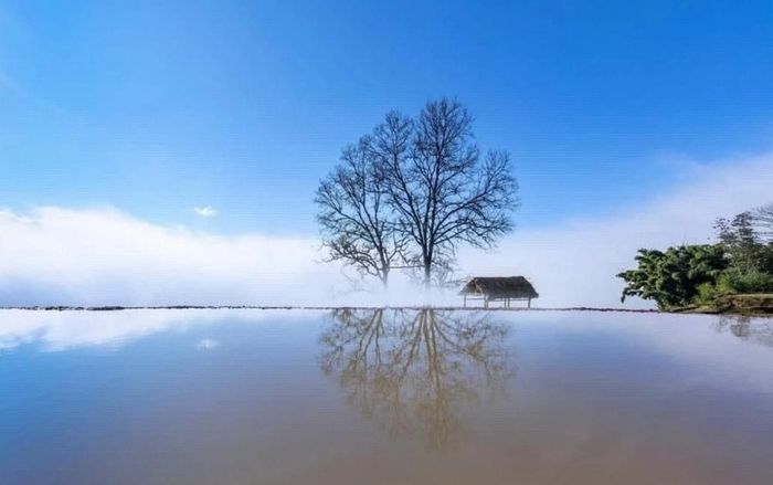 Biển mây ở Y Tý. Ảnh: TL