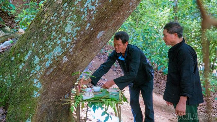  Yêu rừng, bảo vệ rừng, tại các thôn, bản vùng cao, người Dao, người Mông, người Nùng, người Hà Nhì... còn tạo nên những khu rừng cấm, lập lán thờ thần rừng. Theo tín ngưỡng của từng dân tộc, họ sẽ chọn ngày lành, tháng tốt trong năm để làm Lễ cúng rừng nhằm tạ ơn thần rừng đã che chở, bảo vệ và cho dân làng sự sống từ rừng. 