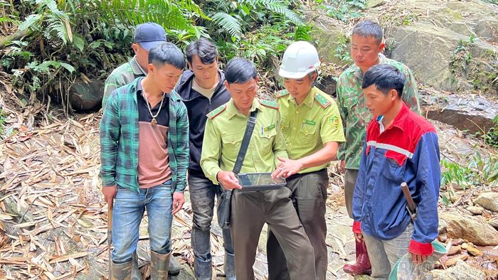  Ngành lâm nghiệp tích cực ứng dụng công nghệ thông tin trong bảo vệ và phát triển rừng. Việc kiểm tra rừng trên vệ tinh được thực hiện nhằm kịp thời phát hiện những sự cố về rừng, từ đó có giải pháp bảo vệ hiệu quả. 