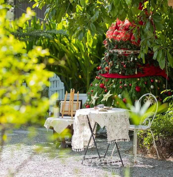 Bàn thưởng trà nhẹ nhàng bên cây thông Noel thu hút giới trẻ.