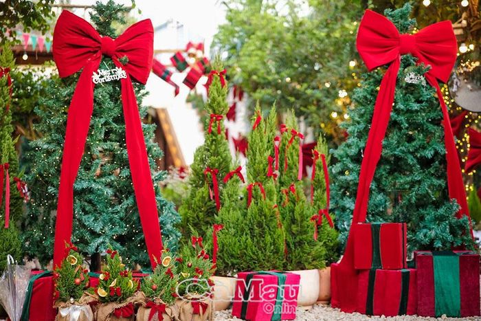 Nhiều cây thông Noel được trang trí rực rỡ, bắt mắt.