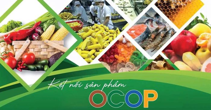 Nâng cao sức cạnh tranh cho sản phẩm ocop