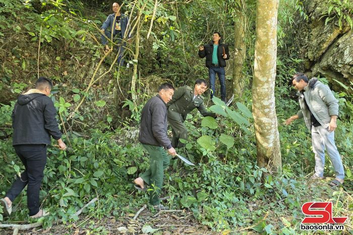 Kiểm lâm địa bàn cùng nhân dân bản Oi phát thực bì khu rừng đầu nguồn.