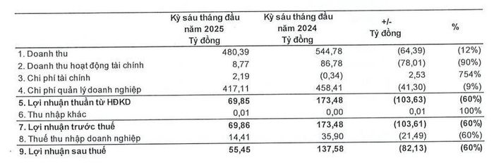  Kết quả kinh doanh 6 tháng đầu năm 2025 của Dragon Capital. (Nguồn: Dragon Capital). 
