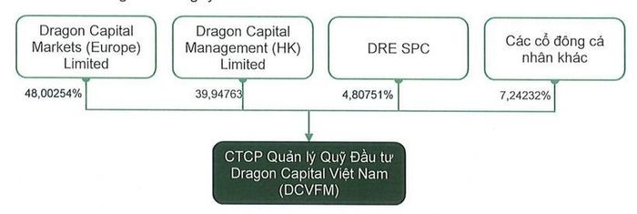  Nguồn: Dragon Capital. 