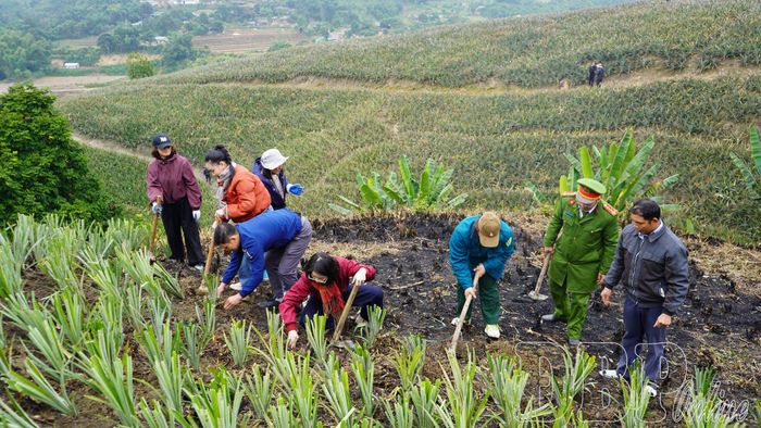 Cán bộ xã Na Sang đồng hành cùng người dân tại lễ ra quân phát động phong trào trồng dứa thực hiện Chương trình mục tiêu quốc gia về hỗ trợ phát triển sản xuất cộng đồng.