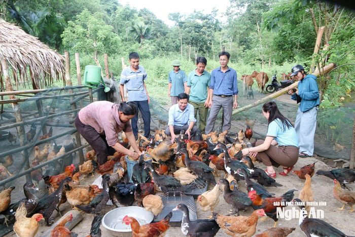 Cán bộ bản và cán bộ xã ở Tương Dương tham quan mô hình kinh tế hiệu quả để áp dụng, nhân rộng. Ảnh: Đ.T