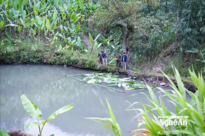 Bí thư Chi bộ bản Khe Kiền Lô Văn Xai và Trưởng bản Lương Văn Duy kiểm tra tình hình sản xuất của người dân. Ảnh: T.P