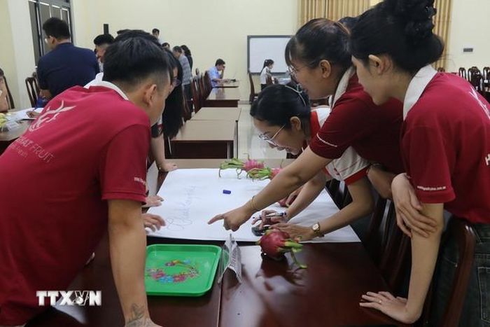  Đại biểu tham gia bài tập thực hành tại hội thảo. (Ảnh: Đức Tâm/TTXVN) 