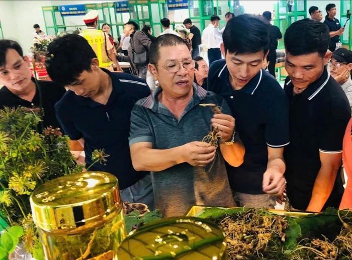 Người dân tham quan, tìm hiểu sâm Ngọc Linh tại một sự kiện quảng bá. Ảnh: ĐỨC DUY