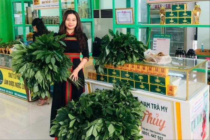 Lá sâm Ngọc Linh và sản phẩm chế biến từ sâm tại Lễ hội Sâm Ngọc Linh. Ảnh: ĐỨC DUY