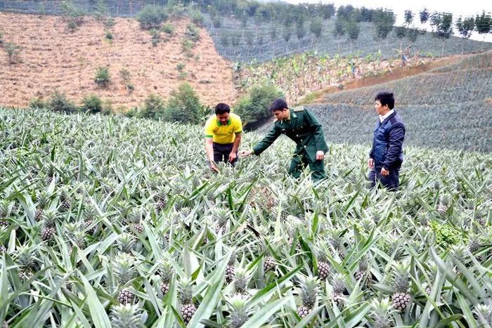 Bộ đội Đồn Biên phòng Bản Lầu là điểm tựa của người dân vùng biên giới để phát triển kinh tế, xây dựng nông thôn mới. Ảnh: Quốc Hồng