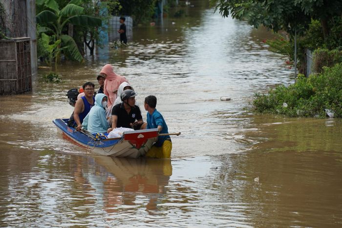 Vận chuyển cơm