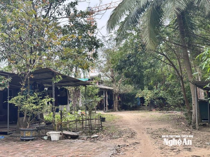 Nhà ông Trần Văn Trường có 1.200 m2 được chia thành 2 khu nhà cấp 4 để ở tạm. Ảnh: Nguyễn Hải