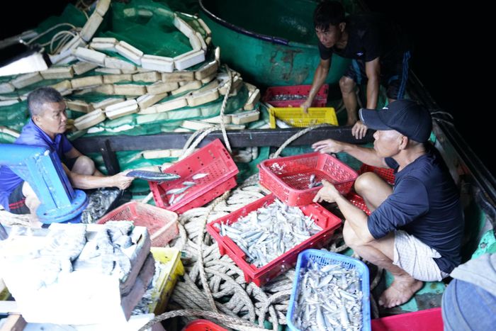 Ngư dân tranh thủ phân chia "lộc biển" trước khi thuyền cập bờ. Ảnh: TRÂM ANH