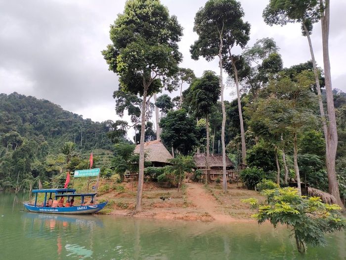 Hệ sinh thái đa dạng, phong phú tại Vườn Quốc gia Sông Thanh.
