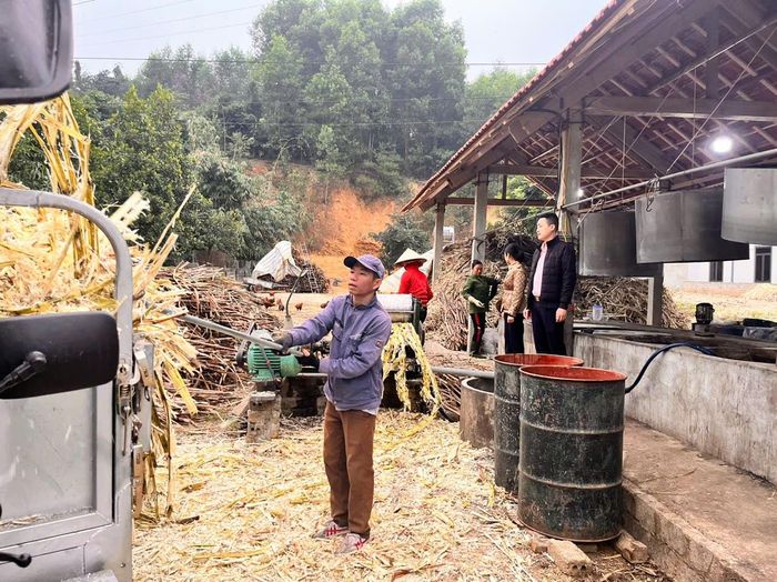 Người dân Tân Kỳ vay vốn Ngân hàng Chính sách xã hội phát triển nghề mật mía. Ảnh: TH