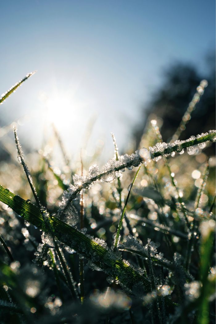  Ảnh: Getty Images 