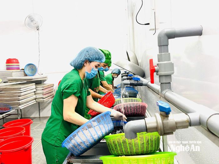 Các cơ sở sản xuất ngày càng chú trọng đảm bảo an toàn và chất lượng sản phẩm. Ảnh: Thái Tuấn