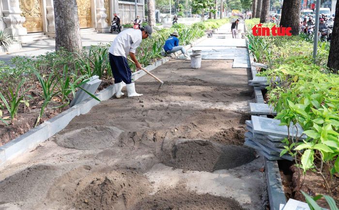 Các công nhân thi công lắp đặt gạch ở vỉa hè trên đường 3/2, phường Vườn Lài (TP Hồ Chí Minh).