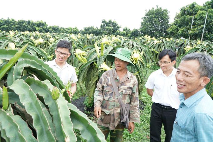 Người dân xã Tà Năng ứng dụng khoa học - công nghệ để có được những vườn cây ăn trái hiệu quả