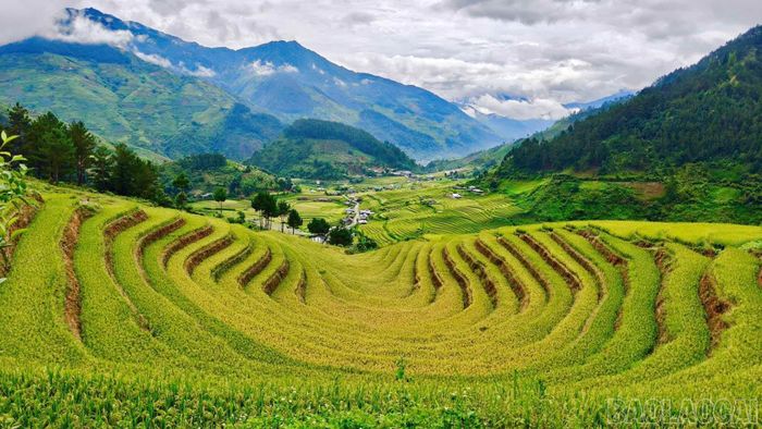  Tuyến đường sắt kết nối hạ tầng giao thông, tạo điều kiện thuận lợi để du lịch Lào Cai phát triển mạnh mẽ hơn trong tương lai. 