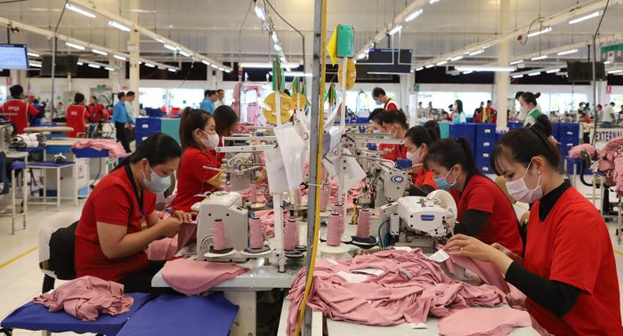 Công nhân Công ty Trách nhiệm hữu hạn NV Apparel trong giờ làm việc. Ảnh: BẢO HÂN