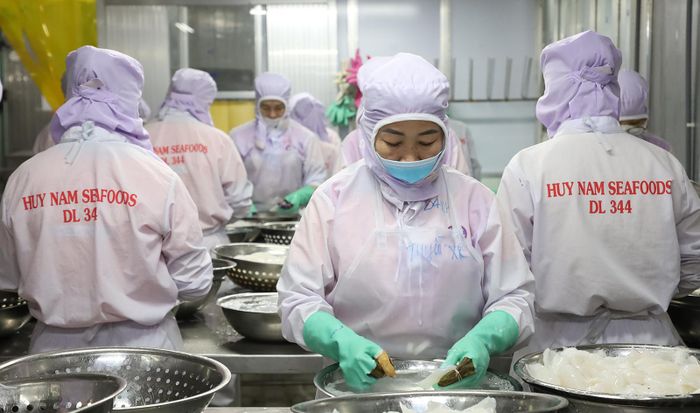 Công nhân Công ty Trách nhiệm hữu hạn Huy Nam chế biến mực xuất khẩu. Ảnh: BẢO HÂN