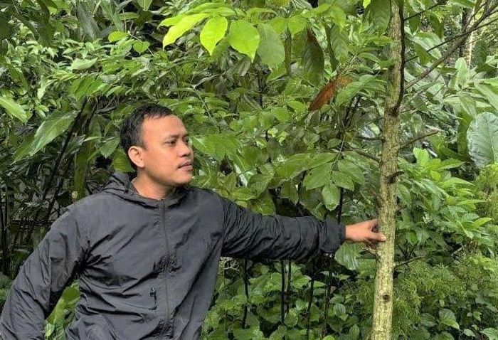 Trưởng thôn Zơrâm Đa bên vườn cây lâm nghiệp của gia đình. Ảnh: ĐĂNG NGUYÊN