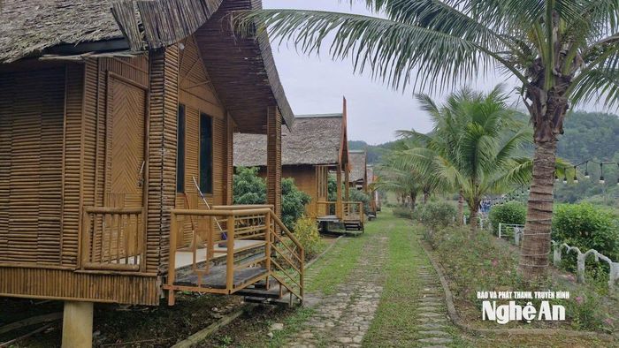 Một cụm hommestay trong vùng Đảo Chè Cầu Cau. Ảnh: Nhật Lân