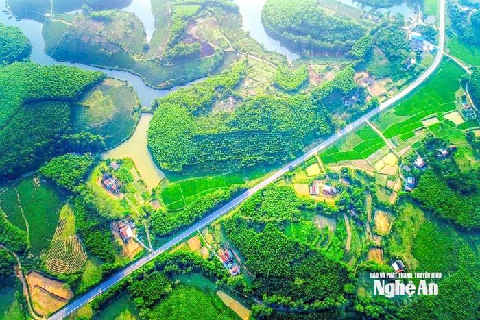 Vùng Đảo Chè Cầu Cau nằm kề đường mòn Hồ Chí Minh. Ảnh: UBND xã Hoa Quân
