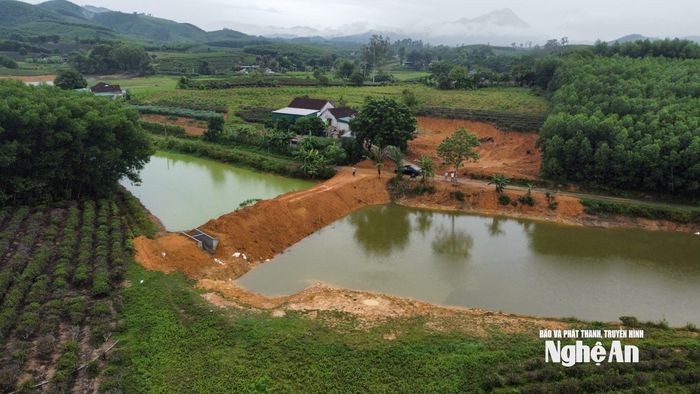 Vụ việc đắp đập chắn trái phép trong vùng Đảo Chè - Cầu Cau đã bị xử phạt. Ảnh: Nhật Lân