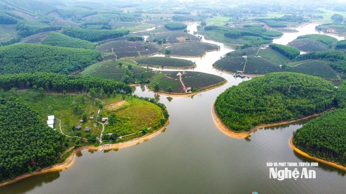 Vùng Đảo Chè - Cầu Cau nhìn từ trên cao. Ảnh: Thành Cường