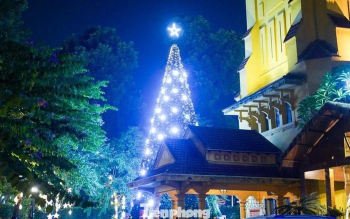 Nhiều bạn trẻ kỳ công chuẩn bị trang phục để có những bức hình ưng ý nhất