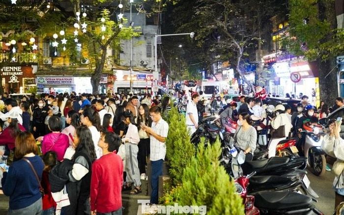 Cây thông Noel khổng lồ cùng tiểu cảnh hang đá tạo điểm nhấn cho không gian
